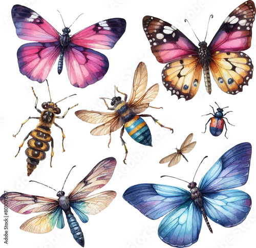 set of watercolor butterflies, dragonflies and various insects in vector   © Yulia