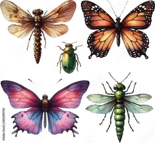set of watercolor butterflies, dragonflies and various insects in vector 
