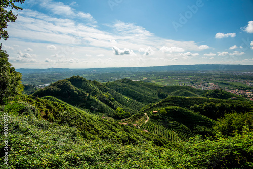 Photos 2023 9 23 Vidor prosecco vineyard 48