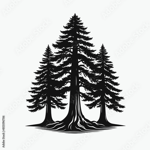 Redwood tree silhouette vector illustration white background