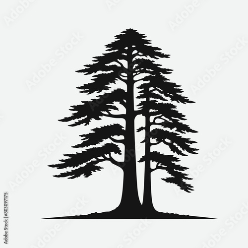 Redwood tree silhouette vector illustration white background