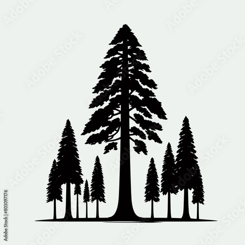 Redwood tree silhouette vector illustration white background