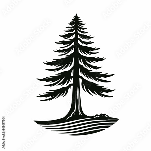 Redwood tree silhouette vector illustration white background