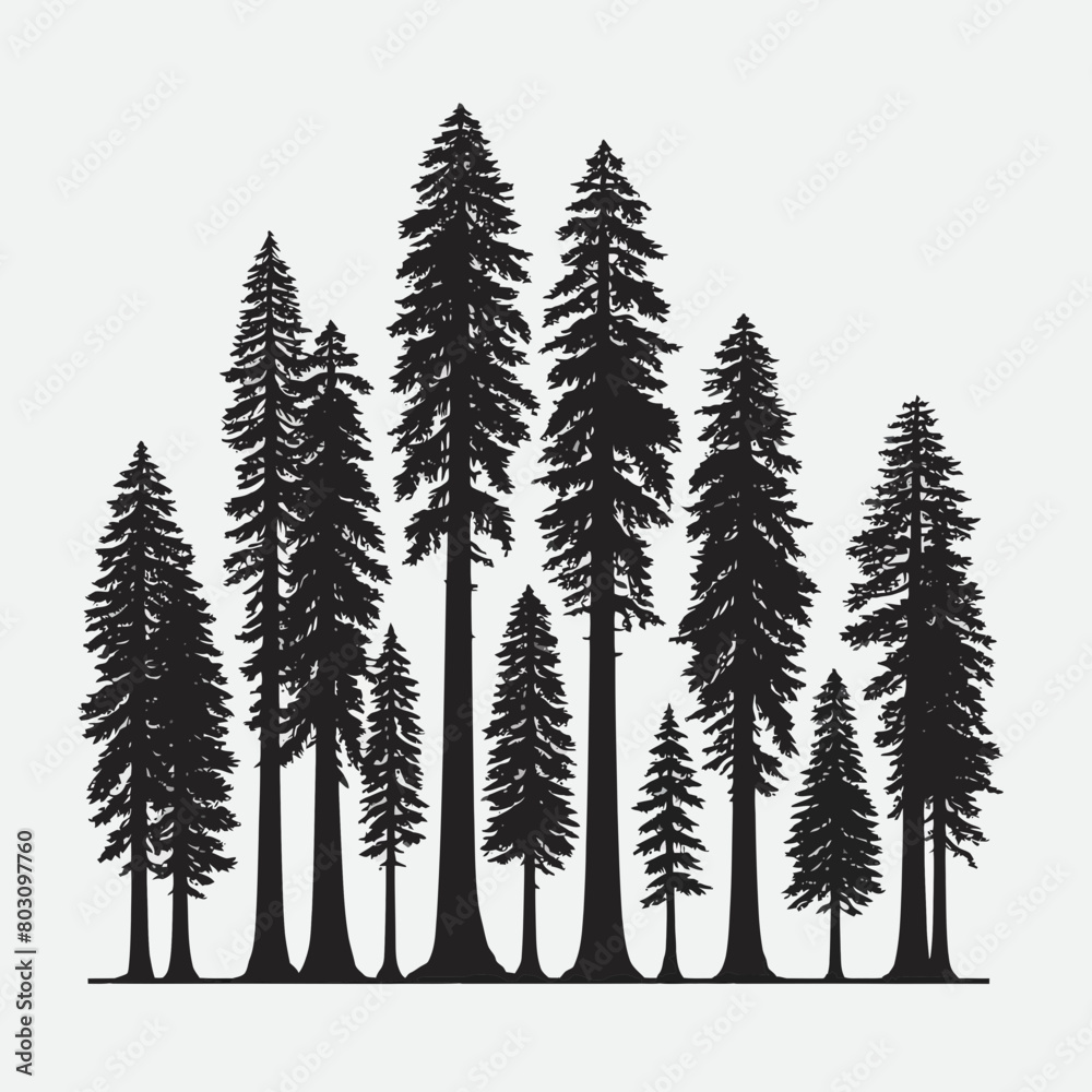 Obraz premium Redwood tree silhouette vector illustration white background
