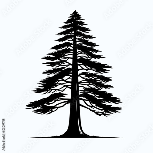 Redwood tree silhouette vector illustration white background