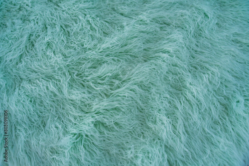 Fluffy wavy faux fur similar to sheep's wool, fashionable mint color background