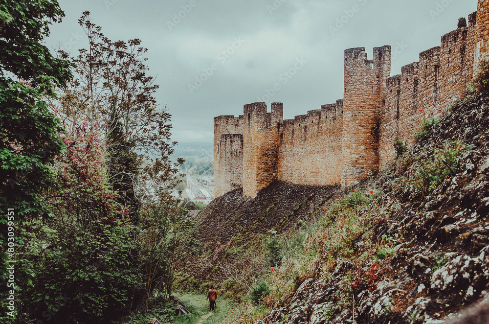 Fototapeta premium Castelo