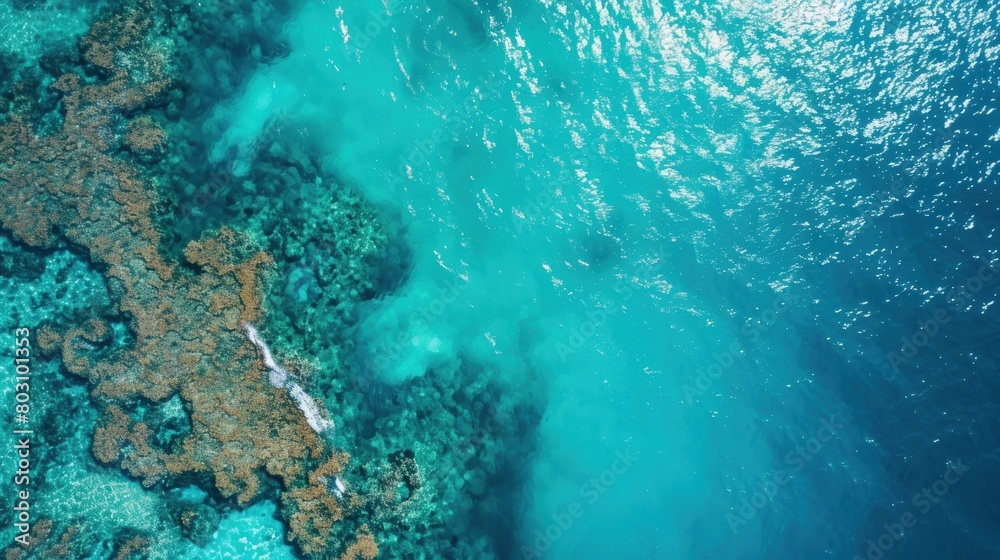 Coral reefs and turquoise waters from an aerial perspective. Copy Space.