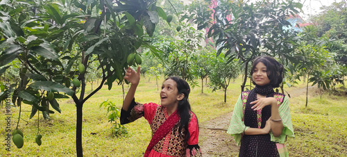 Two young sisters explore the mango garden. One of them excitedly points out a cluster of green mangoes hanging from  the tree above.