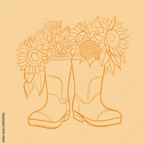 illustration of a shoe