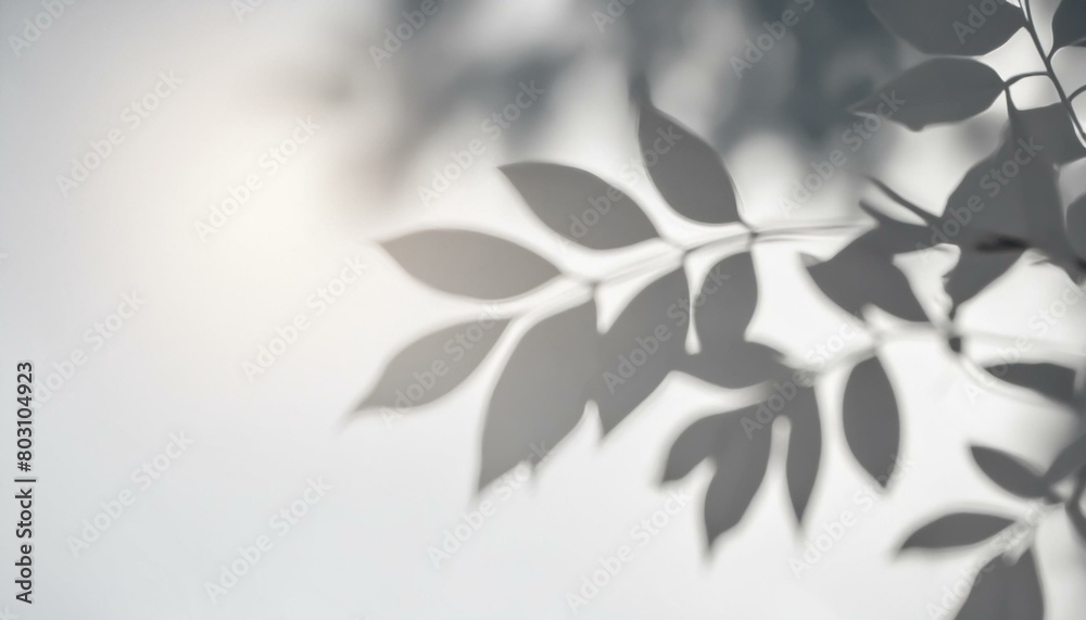 Fleeting Impressions: Tree Leaves in Soft Focus on Gray Fleeting Impressions: Tree Leaves in Soft Focus on Gray