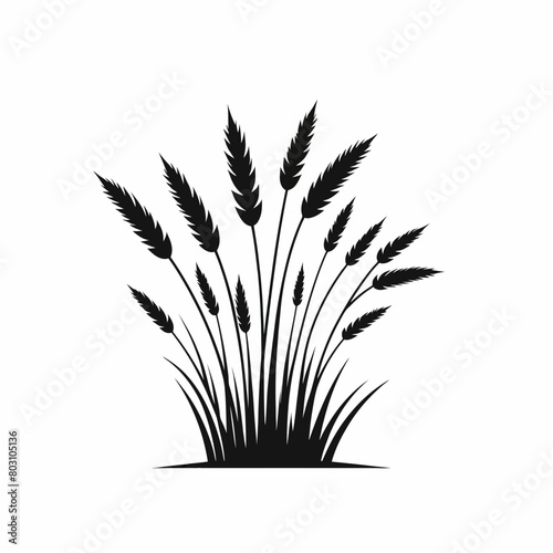 grass silhouette vector illustration white background
