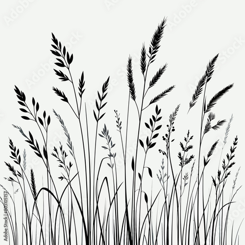 grass silhouette vector illustration white background