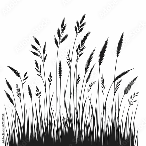 grass silhouette vector illustration white background