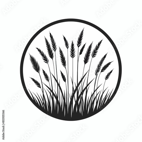 grass silhouette vector illustration white background