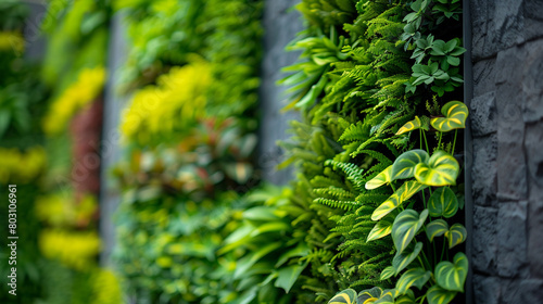 Minimalist wall with vertical garden, biophilic design, © Ibrar Artist