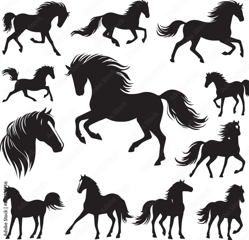 Horse silhouette animal set on white background. Black horses graphic element vector illustration. High Resolution JPG, EPS 10 included. Horse silhouette animal set on white background. Black horses graphic element vector illustration. High Resolution JPG, EPS 10 included.