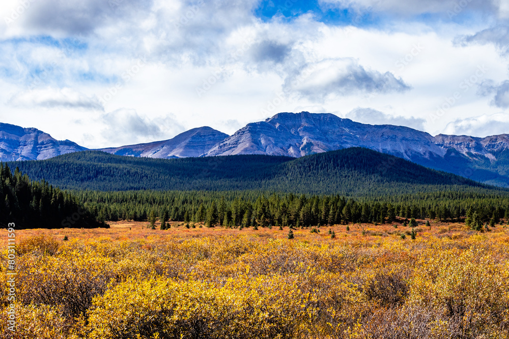 A drive through Clearwater County Alberta Canada