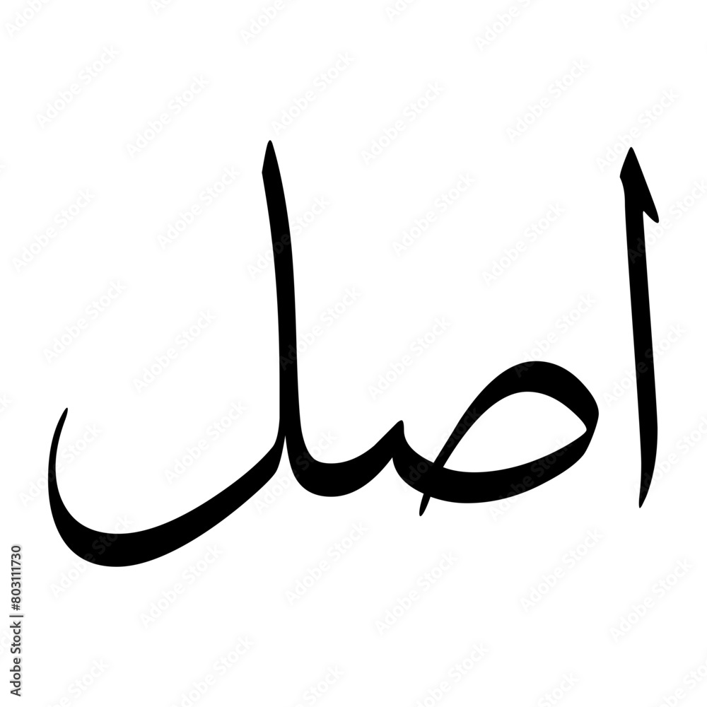 Aasal Muslim Boy Name Sulus Font Arabic Calligraphy Aasal Muslim Boy Name Sulus Font Arabic Calligraphy