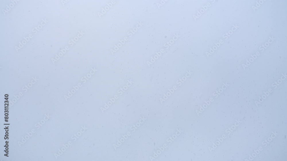 Fast falling natural snow against a gray sky. Winter snowfall. Overcast weather. View from below.