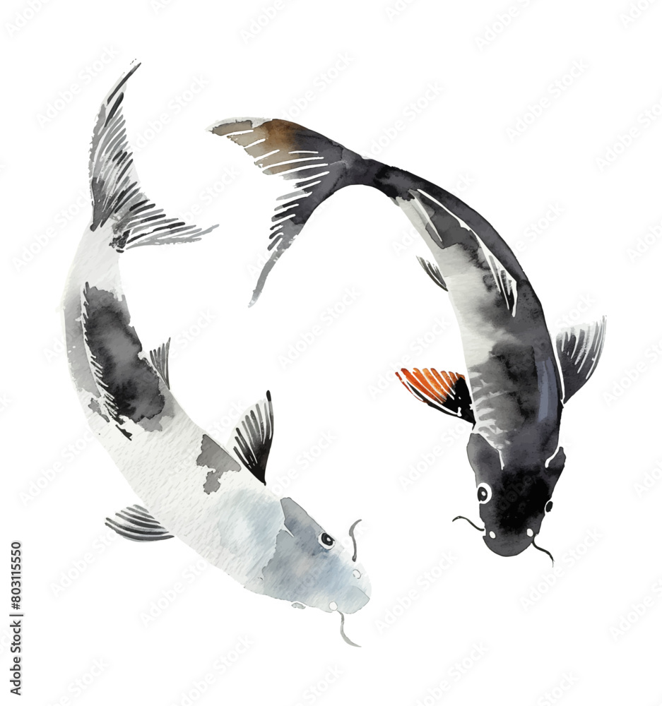 Obraz premium koi carp fish watercolor digital painting good quality