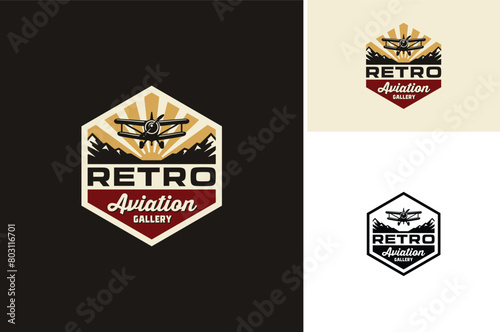 Vintage Plane with Mountain and Sky for Classic Aviation Aircraft Airline Airplane Flight Hexagon Emblem Badge Retro Label Logo Design