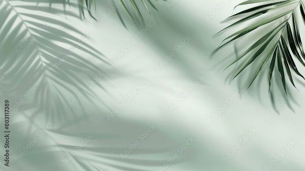 Photo of a modern solid color background with soft shadows from palm leaves in the style of light green and gray colors, for a product presentation template design 