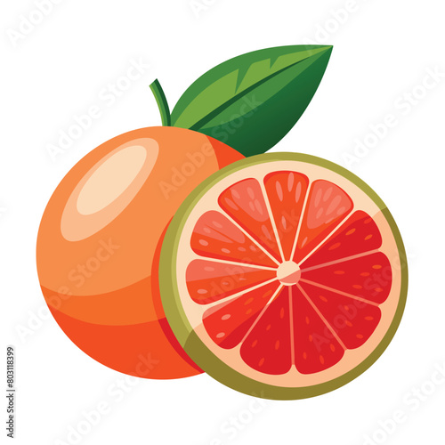 One and half Grapefruit vector art illustration, solid white background
