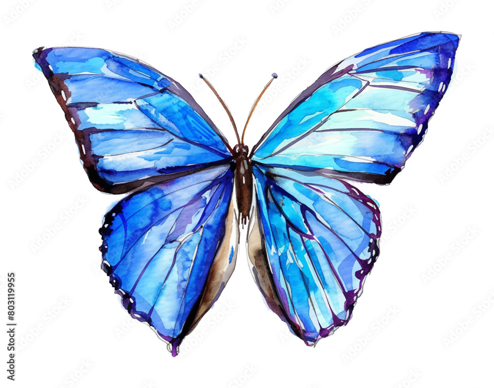 Fototapeta premium blue butterfly watercolor digital painting good quality