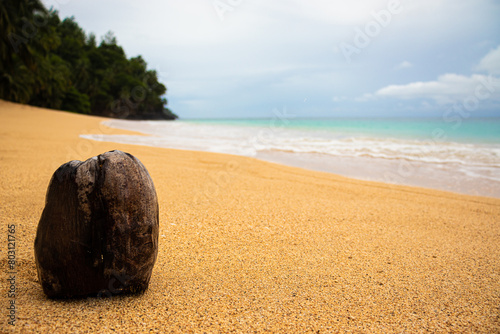 A imagem de um coco numa praia paradisíaca, com água azul ao fundo e areia quase branca, com a espuma das onda a entrar pela praia, céu azul com algumas nuvens, árvores tropicais no horizonte  photo