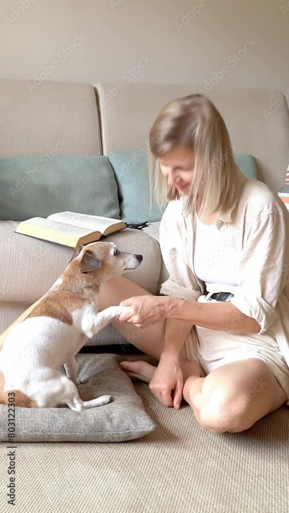 blonde girl sitting on floor in living room near sofa caresses small dog Jack Russell terrier. Kissing and hugging dog putting paw handshake. vertical video footage. Love and care 