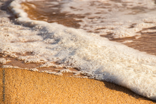 Espuma branca da onda na areia acastanhada, sob o sol de verão, um grande plano da espuma das ondas, a ver-se a as texturas da areia e da espuma