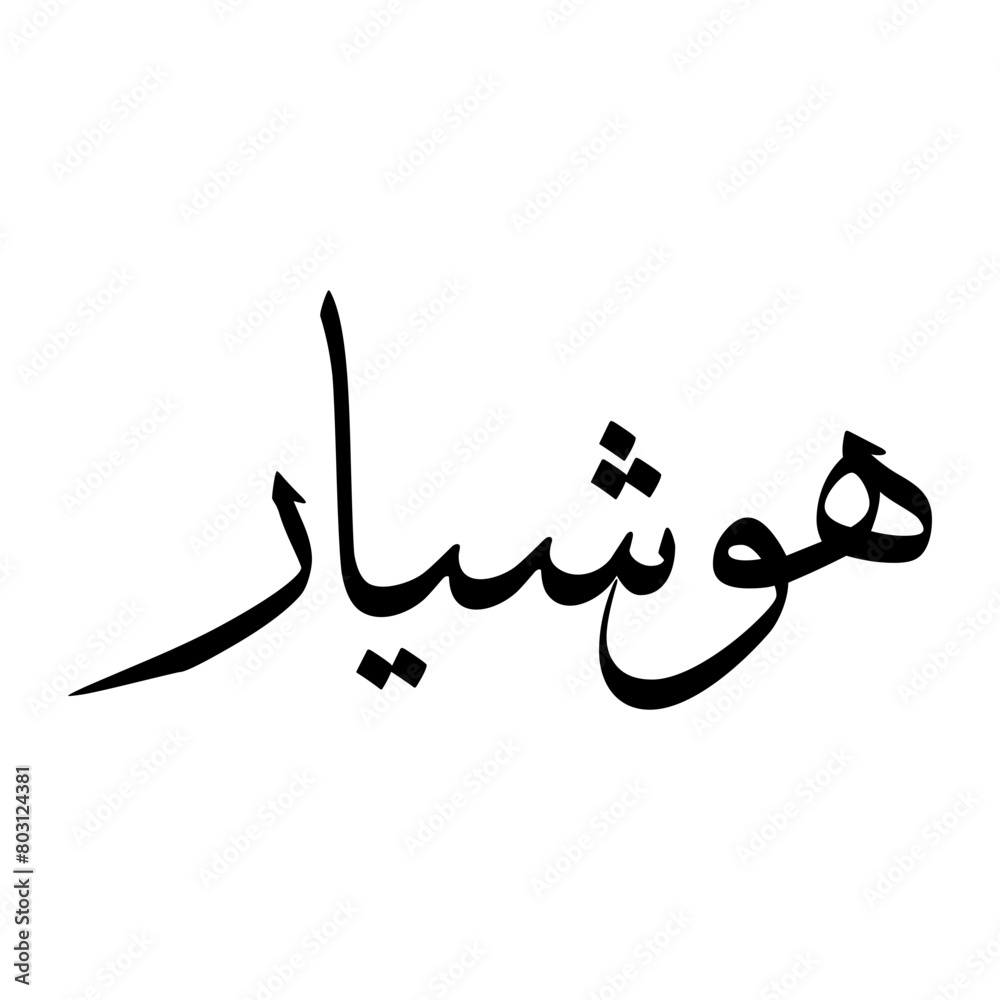 Hoshiar Muslim Boy Name Sulus Font Arabic Calligraphy Hoshiar Muslim Boy Name Sulus Font Arabic Calligraphy