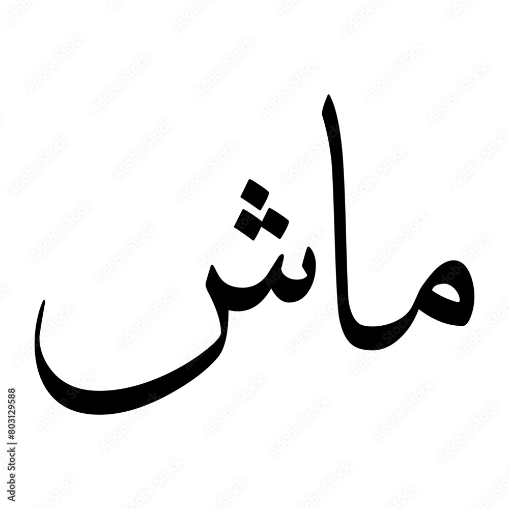 Maash Muslim Boy Name Sulus Font Arabic Calligraphy Maash Muslim Boy Name Sulus Font Arabic Calligraphy
