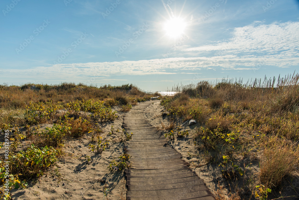 2023 9 30 Lido walkway on the beach 6