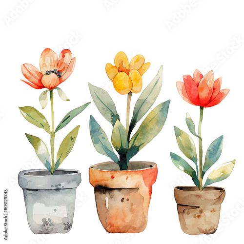 Vibrant watercolor floral illustrations arranged in pots. Hand-drawn vectors against a white background. Ideal for creating bouquets, wreaths, and exquisite wedding invitations.