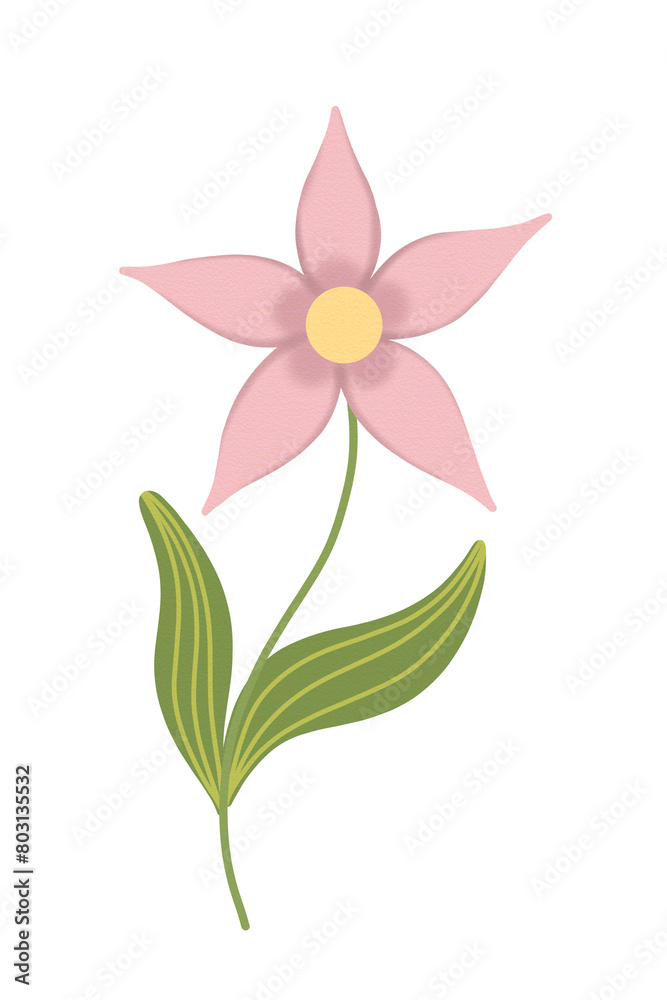 Wild pink flowers of spring collection. Abstract flowering plants, blooming flowers, subshrubs isolated on white background. Hand drawn detailed botanical digital illustration by watercolor brushes.