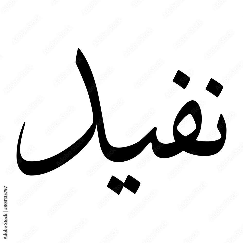 naveed-muslim-boy-name-sulus-font-arabic-calligraphy-stock-vector