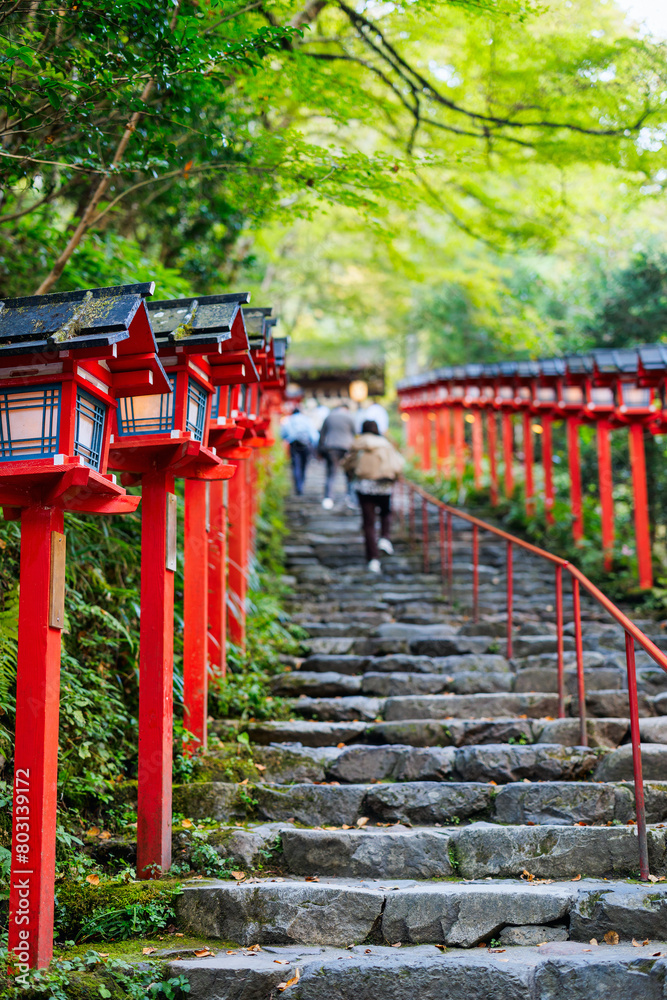Red lanterns at Kifune Shrine Red lanterns at Kifune Shrine
