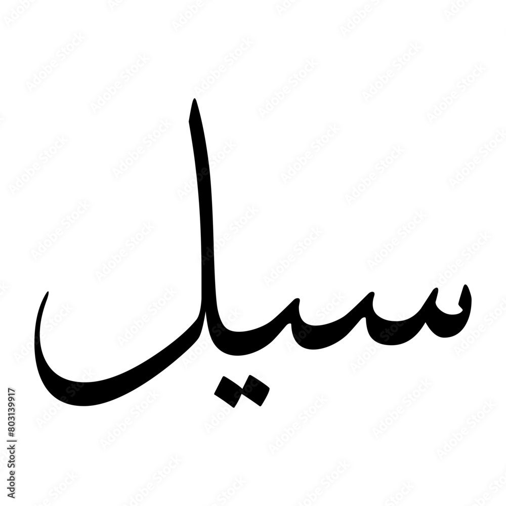 Saeel Muslim Boy Name Sulus Font Arabic Calligraphy