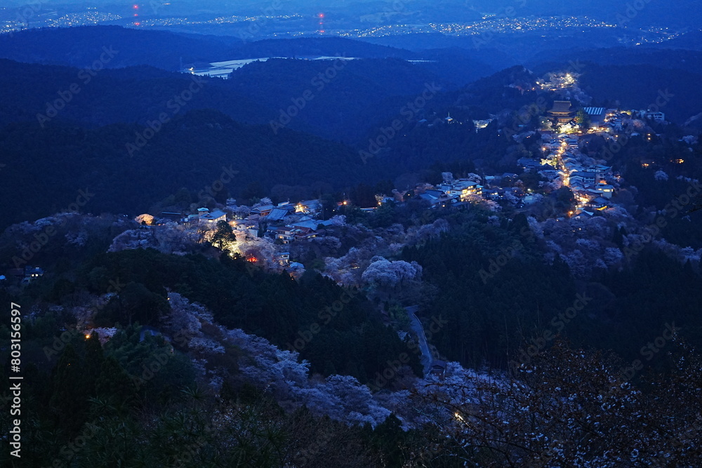 Night View of Pink Sakura Cherry Blossom on Mt. Yoshino or Yoshino-yama in Nara, Japan's Most Famous Cherry Blossom - 日本 奈良 吉野山の桜 春の景色 夜景