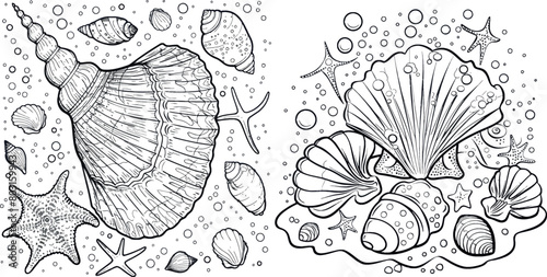 Training coloring for kids with sea shell and sample