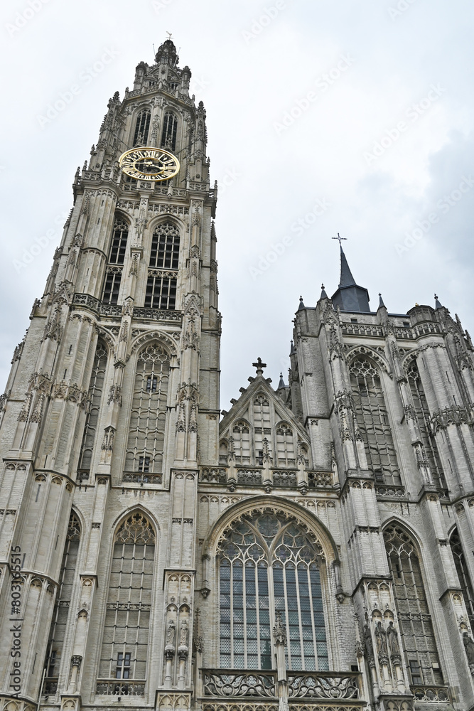 Fototapeta premium Anversa, la cattedrale di Nostra Signora - Fiandre, Belgio