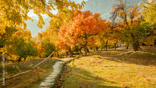Autumn leaves  clear skies  northern Pakistan.