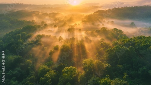 A beautiful sunrise landscape of Danongdafu Forest Park, birds eye view use the drone in morning bright sunlight © Mustafa