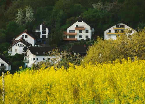 Häuser im Hintergrund Ockershausen im Rapsfeld © Winfried