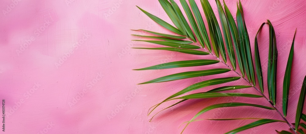 A tropical palm tree leaf set against a vibrant pink backdrop, with room for text. A tropical palm tree leaf set against a vibrant pink backdrop, with room for text.
