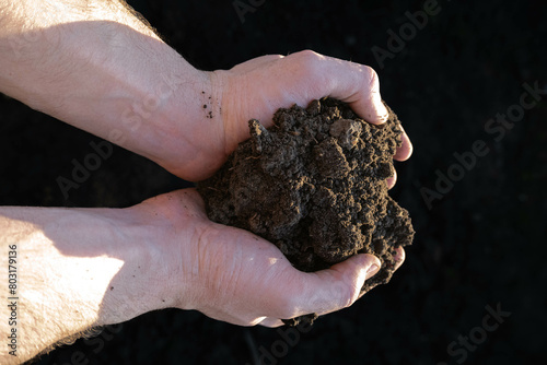 close up hand holding soil peat moss