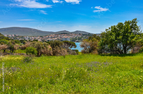 spring flowers on Aegean sea coast near Erythrai ruins in Ildir (Izmir province, Turkiye)