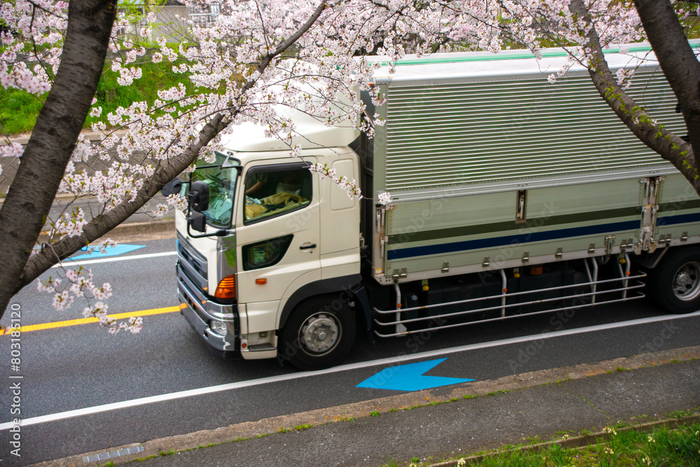 桜並木の横を走るトラック